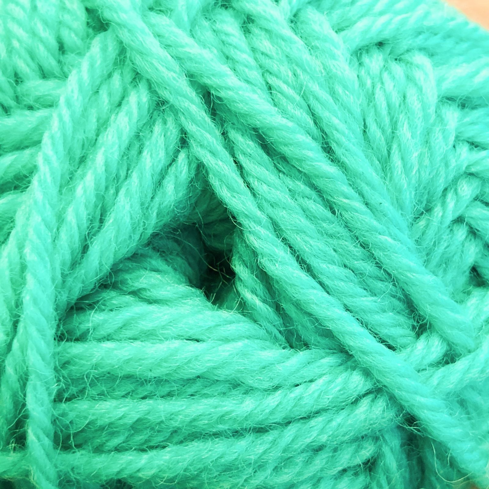 Naturally Loyal 8ply Double Knit DK 100% NZ wool SeaFoam Shade 960