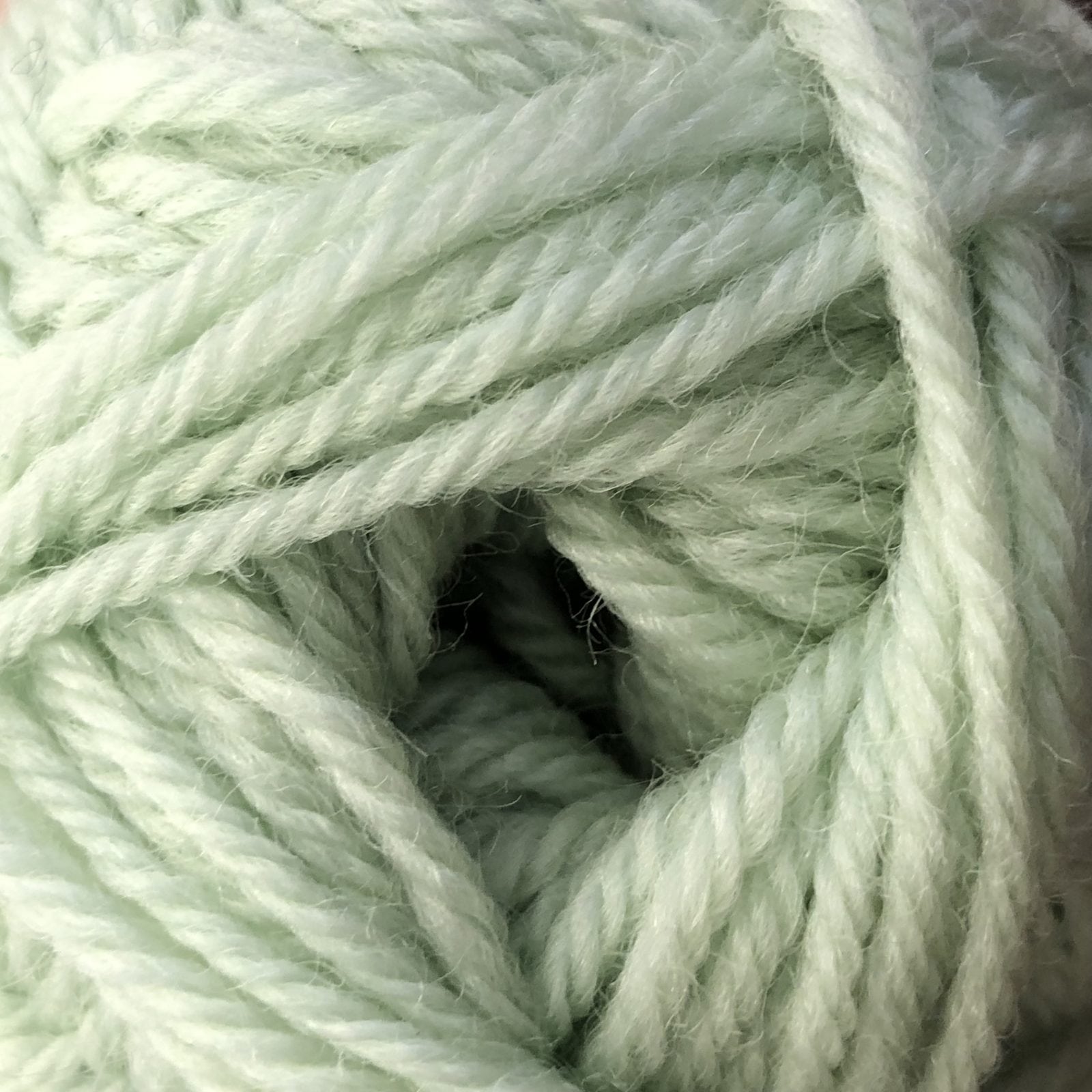 Naturally Loyal 8ply Double Knit DK 100% NZ wool Tea Green Shade 973
