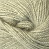 Adriafil Soffio Plus 10ply | Acrylic, Mohair, Wool Blend New Zealand Moss 67