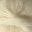 Broadway Mohair 4ply | 70% Mohair 30% Acrylic Ecru 12