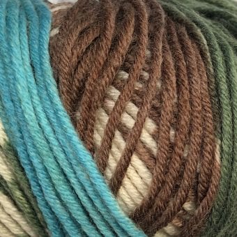Fantasy Broadway Yarns Pattern 8 Ply | Superfine Merino Earth 904
