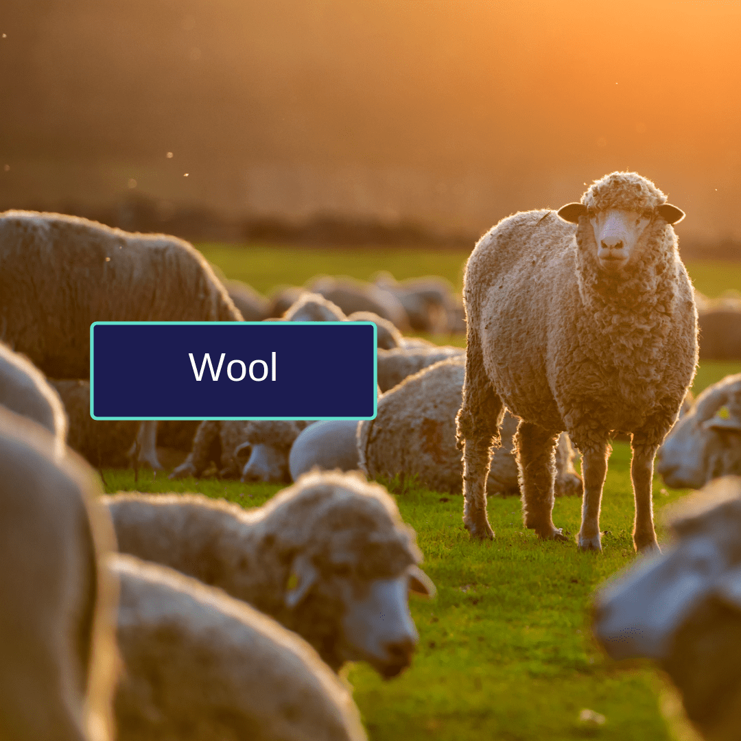 Shop Wool Yarn New Zealand