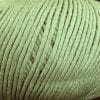 Sesia Windsurf 8ply DK cotton yarn New Zealand Pistachio 332