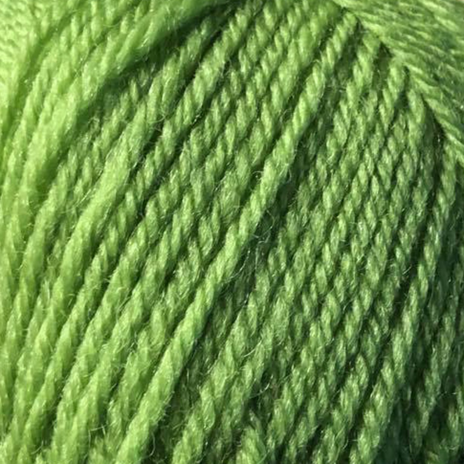 FIBRESPACE Loyal DK 8ply New Zealand yarn shade Pea Green 959