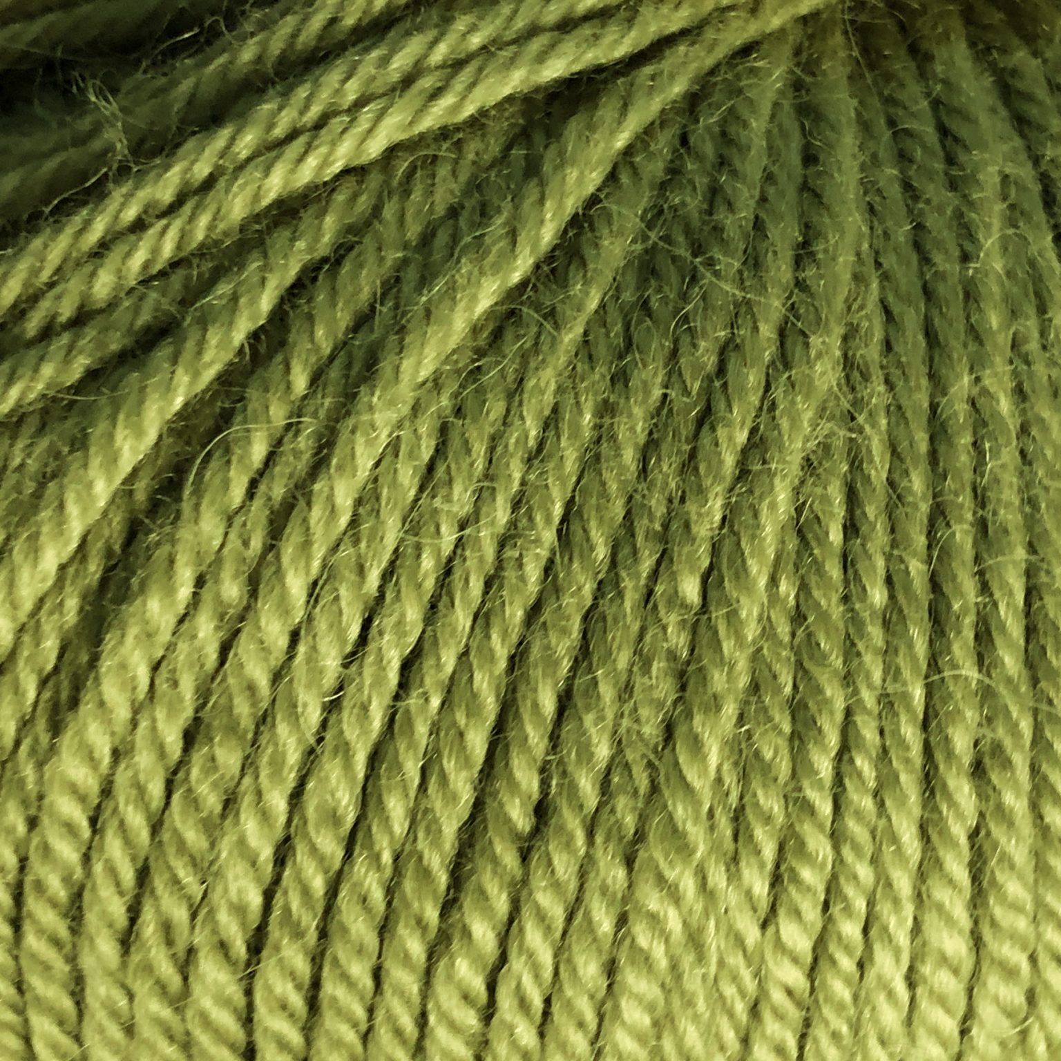 FIBRESPACE NZ Alpaca Yarns Indiecita 8Ply | Baby Alpaca Moss 2612