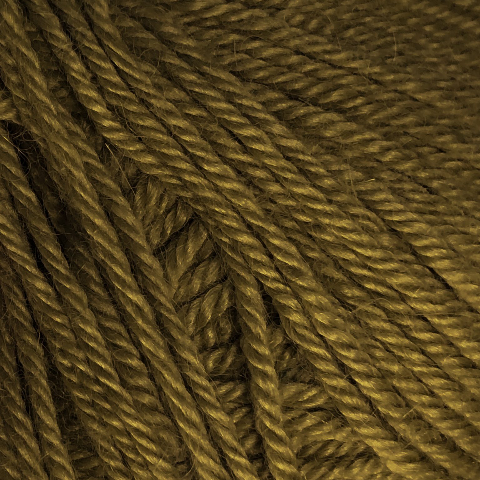 FIBRESPACE NZ Alpaca Yarns Indiecita 8Ply | Baby Alpaca Pine 7365