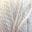 FIBRESPACE NZ Inca Spun Worsted | 10ply Alpaca, Fine Wool Blend buy kiwi yarn cream 100