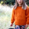 Ginger Sweater LF60| Lisa F Knitting Pattern 12 ply