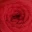 crucci 4 ply sock 100g| superwash merino/nylon blend 35 red