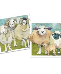 emma ball | janie crow mini card pack of 10 (copy)